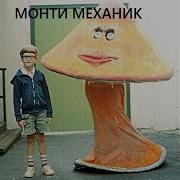 Монти Механик Аня