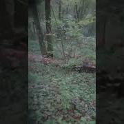 Это Мои Все Не Подходи