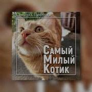 Симбочка Пимпочка Самый Милый Котик