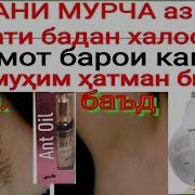 Равғани Мурча Барои Резондани Муйҳои Зиёдии Бадан Рост Пастаяни Ва