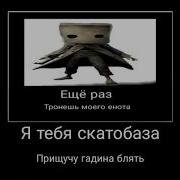 Ещё Раз Тронешь Моего Енота Падла Оригинал