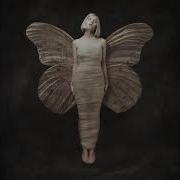 Aurora Under The Water Acapella Audio