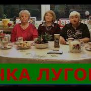 Власов Ночка Луговая