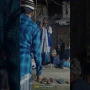 Şakir Qarmon Segah Şeir Taleh Mirzəliyev Abdal Məclisi