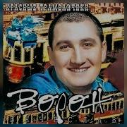 Вячеслав Воронов Сборник