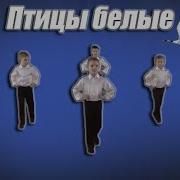 Танец Птиц В Детском Саду