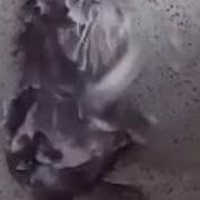 Мышь Моется И Поёт