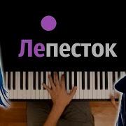 Лепесток Пианино