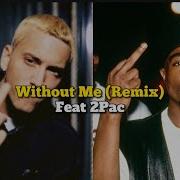 2Pac On Eminem Without Me