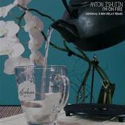 Anton Ishutin I M On Fire Ben Delay Radio Edit
