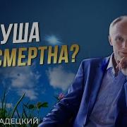 Бессмертие Души Что Случится После Смерти Олег Гадецкий