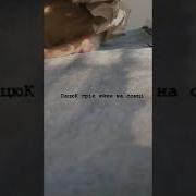 Пацюк Греет Яйца На Солнце