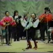Цыганская Скрипка Александр Цымбалов The King Of Gipsy Violin Amazing