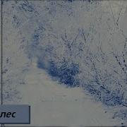 Песни Про Зимний Лес