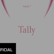 Tally Blackpink