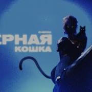 Песня Чёрная Кошка