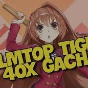 40 Gacha Palmtop Tiger Taiga Banner Crossing Void