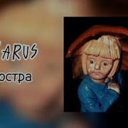 У Костра Lazarus