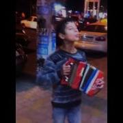 Цыган Тайсон Поет Эндшпиль