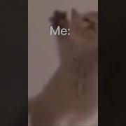 Zero Two Hiro Клип На Милый Во Франксе