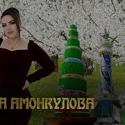 Хамсадо Шав Нигина Амонкулова
