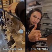 Kiffness Cat Alugalug