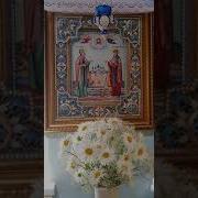 Гимп Петру И Февронии
