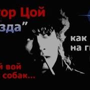 Под Гитару Волчий Вой Да Лай Собак В Цой Cover