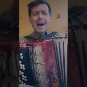 Буратино На Баяне