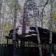 Мужик Напал На Медведя