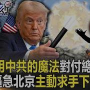 Lt视界视界视界20250312视界视界