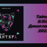 Песня Дикая Пантера