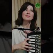 Песни Кавказа Под Гармошку