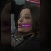 Бархатные Тяги Желтые Тюльпаны