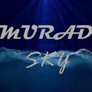 Sky Muard