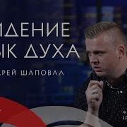 Видение Язык Духа Андрей Шаповал