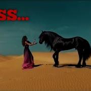 Neshooni Fg Oriental Style Persian Music Trap Lremix Tips Official Music