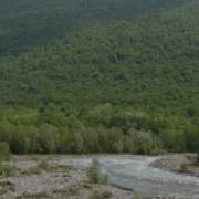 Амшенский Двор Tmbuk Saz U Kemence