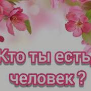 Кто Ты Есть Человек Что Ты Мыслишь Порой