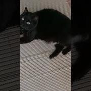 Поставить На Учёт Всех