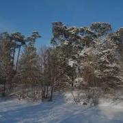 Музыка В Моцардо Зимняя Прогулка Music By V Motsardo Winter Walk