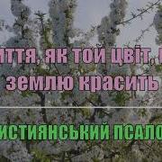Життя Як Той Цвіт Що Землю Красить