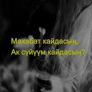 Кой Дебедин Сайкал Садыбакасова