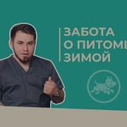 Минус Щенок 4 Лапы