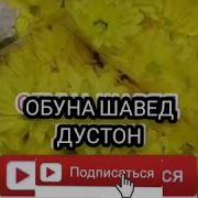Шаби Авал Хона Дори Дуруст Хаст Ё Не Эшони Нуриддинчон