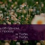 Мои Покои Мои Покров