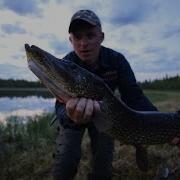 Ты Снова Не Поймала