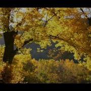 Royal Philharmonic Orchestra Bittersweet Symphony