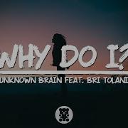 Unknown Brain Why Do I Lyrics Feat Bri Tolani