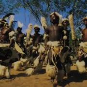 Zulu Voices